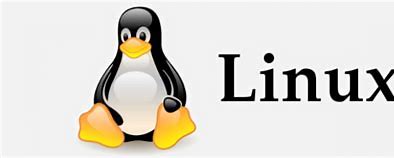 linux C 系统开发